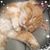 Jami ChamBon's profile image