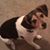 Michael Renier's profile image