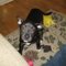 Caresse A.'s profile image