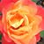 Gloria Gash's profile image