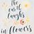 Denise Barberra Waite's profile image