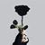 Mohamed Ayman's profile image
