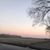 Diane Glasco's profile image