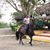Jose Peguero's profile image