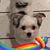 Bettie Matos's profile image