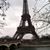Judy Glidewell's profile image