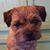 Kathy Warner Van Barriger's profile image