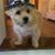Missy Paquette Salce's profile image