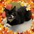 Mary Wallace's profile image