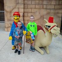 Liz Nordine's profile image
