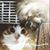 Marie Zaiens's profile image