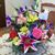 Diane Harris's profile image