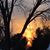 Jennifer Hoehne's profile image