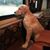 Anita Powdrill's profile image
