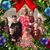 Shelly Vick's profile image