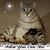 Fawn Williams's profile image