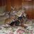Nancy Thomason's profile image