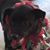 Cindy Schnack Arsenault Coffell's profile image