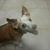 Jose Flores's profile image