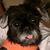 Cathy Winter Brown's profile image