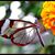 Carolyn Lubke's profile image