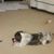Janice K Spindler's profile image