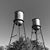 Julie Gwaltney Griggs's profile image