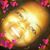 Denise Corbett-Hill's profile image