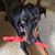 Patty Behm's profile image