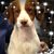 Robyn Taliaferro's profile image