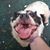 Tiffany L. Jones's profile image