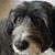 Lori Humm Roffey's profile image