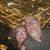 Desha Scanlon's profile image