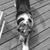 Sydney Sarpolis's profile image