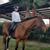 Kelly Cauthen's profile image