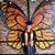 Nicole C. Berry's profile image