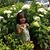 Guadalupe Alcanatara's profile image