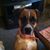 LA Durfee's profile image