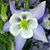 Anne Fennessy's profile image