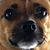 Garrett Jace Sims Brown's profile image