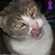 Darlene Van Hooser's profile image