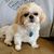 Melva Puryear's profile image