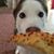 Alicia Vincent's profile image