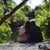 Tim Wheatley's profile image