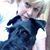 Sharon Creason's profile image