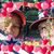 Darlene Spears Smith's profile image
