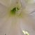 Patty Bussmann's profile image