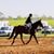 Shelly Lambert Johnson's profile image