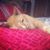 Rafika Ramli's profile image