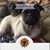 Beth Ward Pfleger's profile image